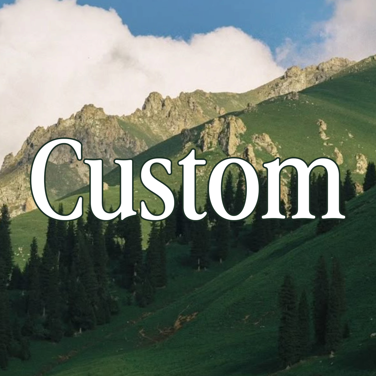 Custom order option image